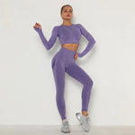 Load image into Gallery viewer, Seamless Women Gym Set Long Sleeve Top High Waist Belly Control Sport Leggings Gym Clothes Seamless Sport Suit Sexy Booty Girls
