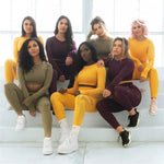 Load image into Gallery viewer, Women Seamless Gym Sets High Waist Gym Mesh Leggings Shirts Suit Long Sleeve Fitness Workout Sports Running Thin Sport Sets

