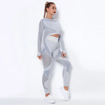Load image into Gallery viewer, Women Seamless Gym Sets High Waist Gym Mesh Leggings Shirts Suit Long Sleeve Fitness Workout Sports Running Thin Sport Sets
