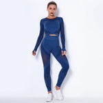 Load image into Gallery viewer, Women Seamless Gym Sets High Waist Gym Mesh Leggings Shirts Suit Long Sleeve Fitness Workout Sports Running Thin Sport Sets
